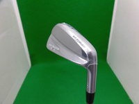 ネクスアイアン (1).JPG