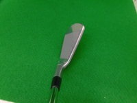 ネクスアイアン (2).JPG