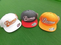 ファウラーキャップ (2).JPG