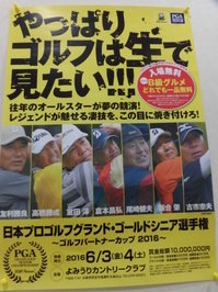 シニア選手権ポスター.JPG