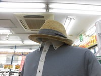 ストローキャップ (1).JPG