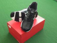 NBsyuu-zu20180120 (2).JPG