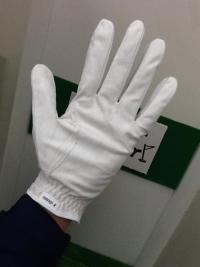 20180208nanonex (1).JPG