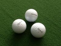 20180222suneru (4).JPG