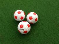 20180401CWsakka-bool (1).JPG