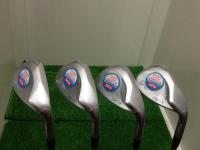 20180402dolfhinw (1).JPG