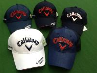 20180421cwcap (1).JPG