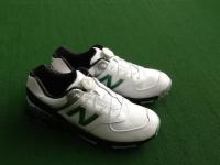 20180430nbsyu- (1).JPG