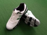 20180430nbsyu- (2).JPG