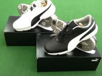 20180507pumasyu-zu (1).JPG