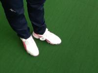 20180530pumasupaiku (1).JPG