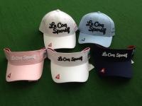 20180629rukoredhi-kyappu (1).JPG