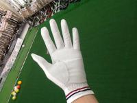 20180808redhinano (1).JPG