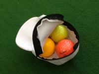 20181107kyappu komono (2).JPG