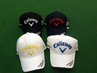 20181110cwkyappu (2).JPG