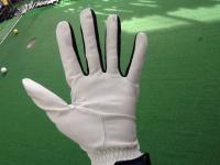 20181209cwgloob (2).JPG