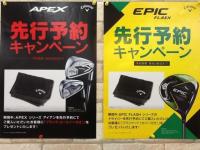 20190112flash.JPG