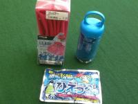 20190511hiyaketaisaku (2).JPG