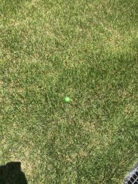20190624 (2).JPG