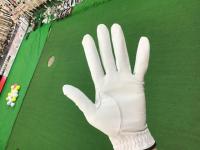 20200226youkaku2020 (2).JPG