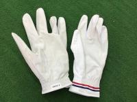 20200619nano (2).JPG