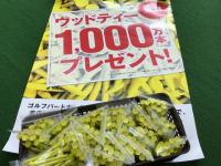 20200626woodthi- (2).JPG