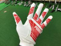 2021pumaglove (2).JPG