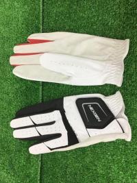 230220426nanoa (2).JPG