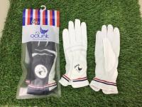 20230731nano0801 (2).JPG