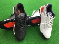 20231003puma (1).JPG