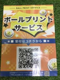 20251029borupurint (2).JPG