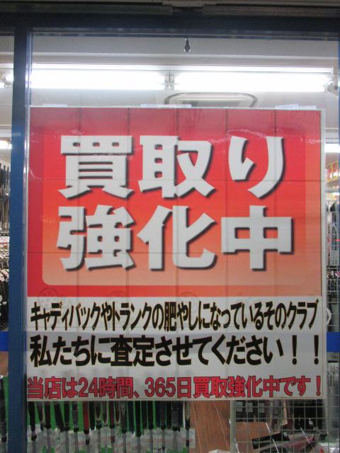 査定させて下さい！