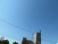 20120306.02 004.jpg