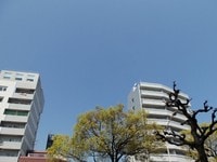 ｌｌ88888.jpg