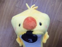 ひよこ.JPG