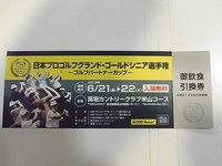 ﾁｹｯﾄｼﾆｱ.JPG