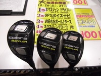 ｺﾌﾞﾊﾞﾌ.JPG