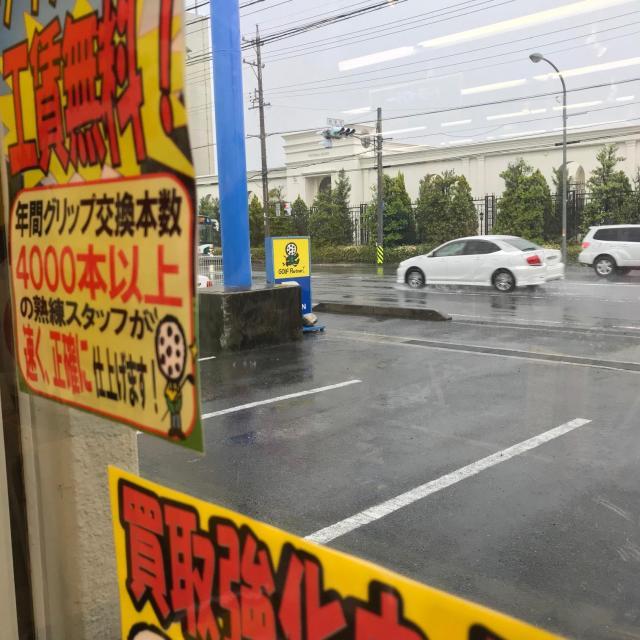 雨ですが、、、