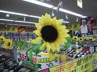 夏ひま.JPG