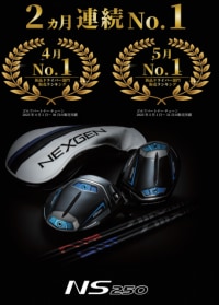 NS250.PNG