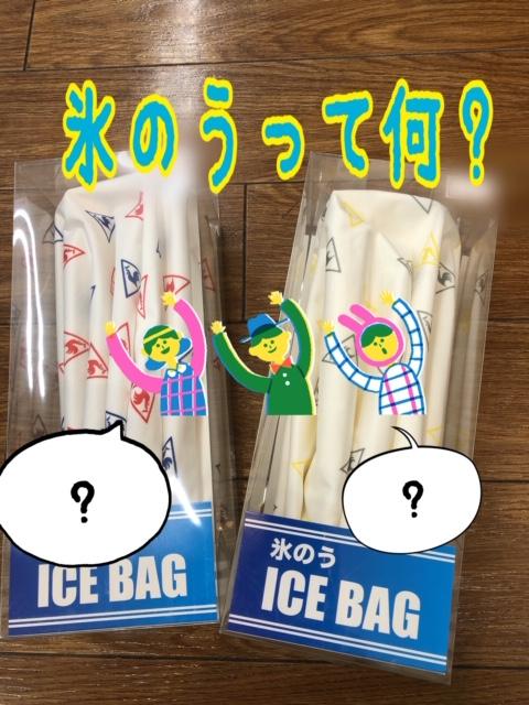 氷のうって何？