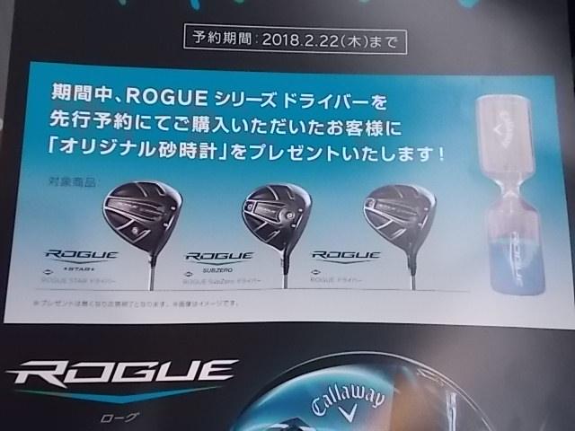 ローグのデモクラブ届きました！