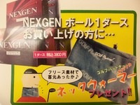 100_2931.JPG