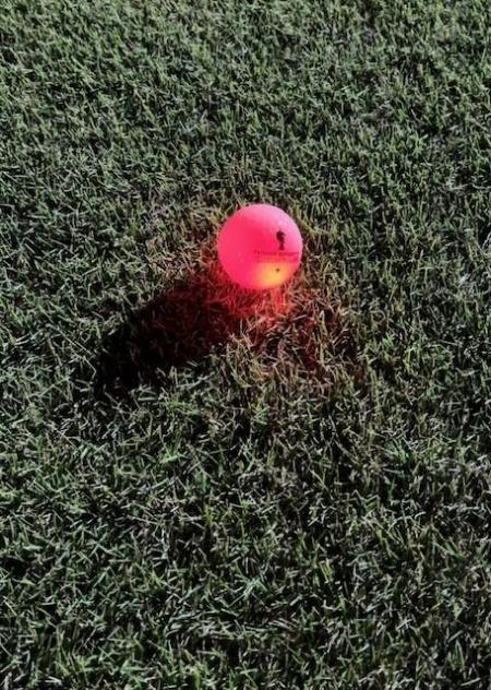 2022110505.jpg