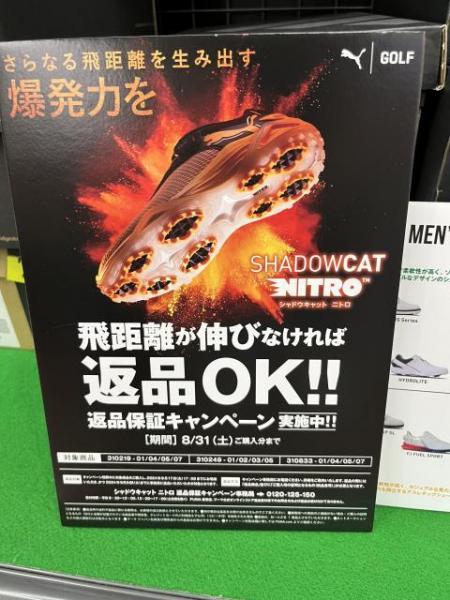 AB44D303-62A5-4366-BADB-D6D7FD5342AD.jpeg