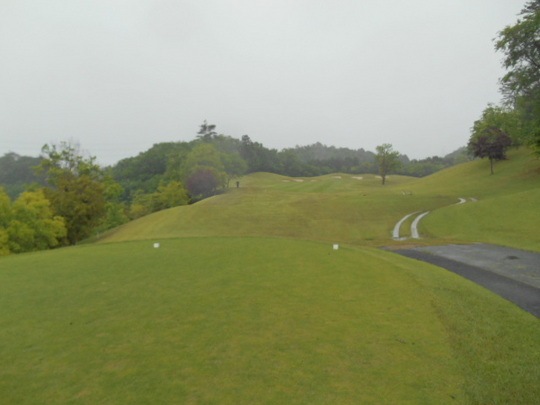 DSCN1269.JPG