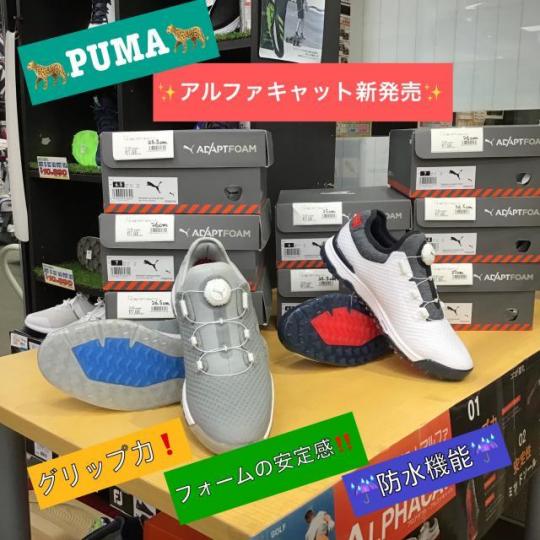 PUMA アルファキャット新発売！！