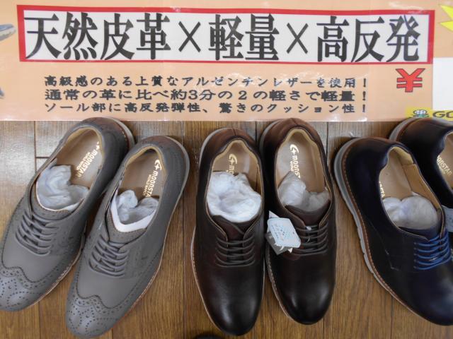 人気急上昇↑(^○^)
