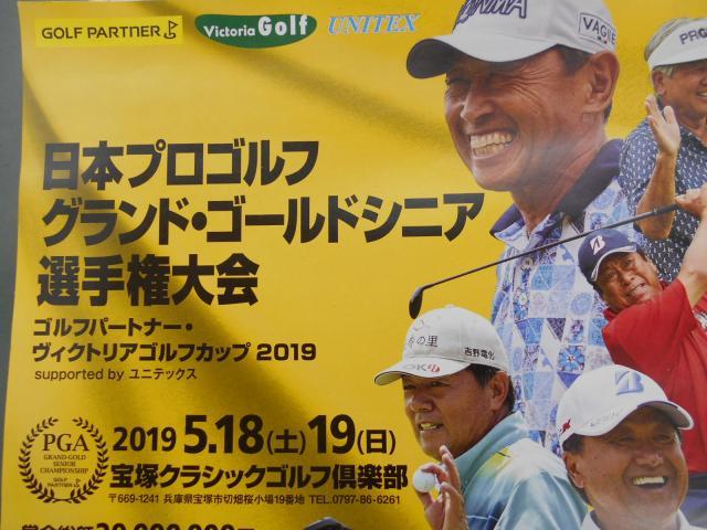 プロの迫力を見に行きませんか？