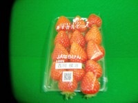 100_ 002.jpg